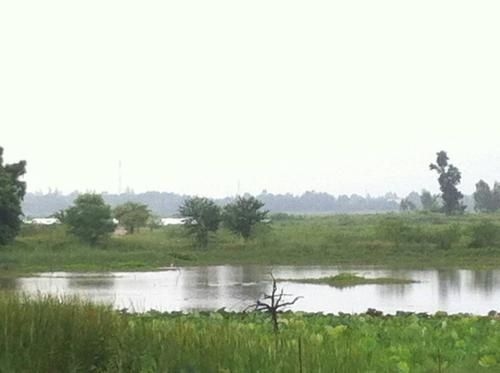 เคียงเลิงรีสอร์ท (Kienglerng Resort)3