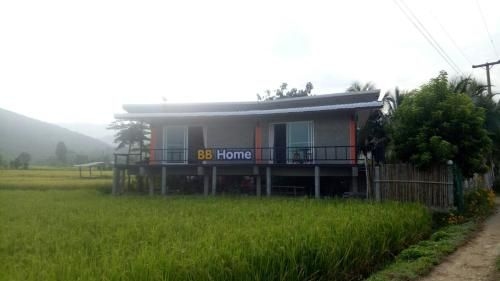 Bee Bee Home0