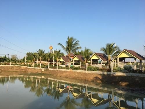Pz View1