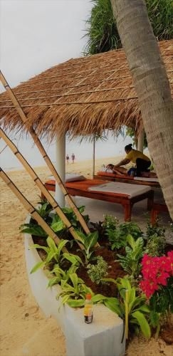 El Pillax Lanta Resort3