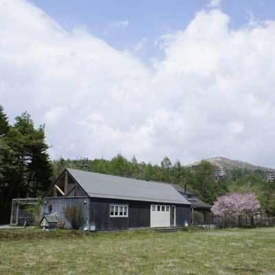 Garden Shed2