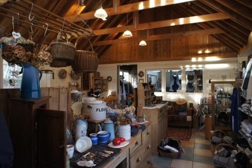Garden Shed1