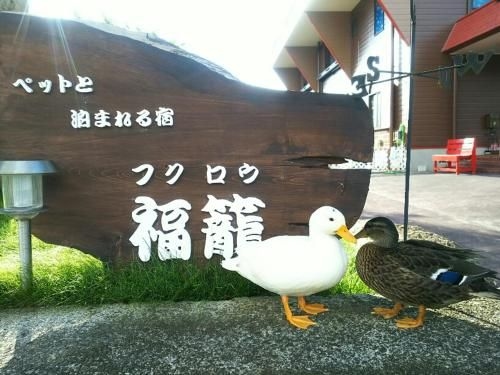 ฟูกุโระ (Fukurou)0