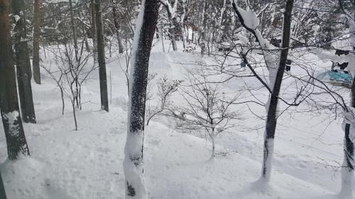 Uchimaru Hakuba1