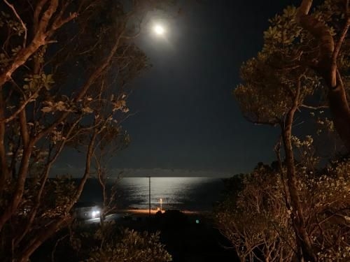 Kabuku Resort2