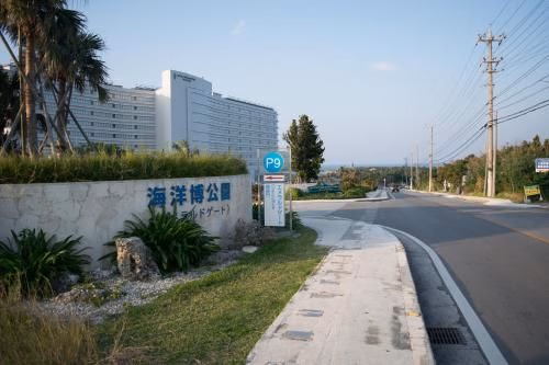 Ocean View Terrace BISE2