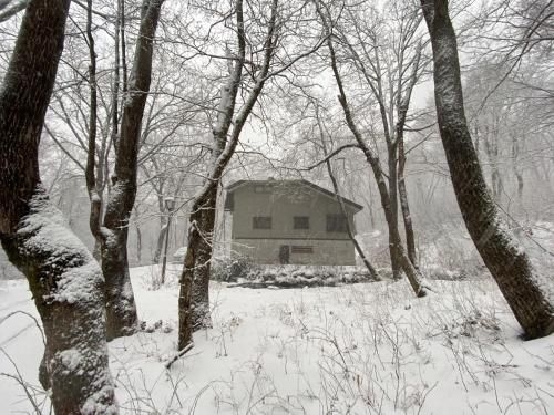 Riverside Chalet1