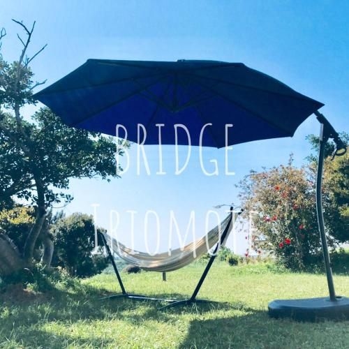 BRIDGE Iriomote Island0