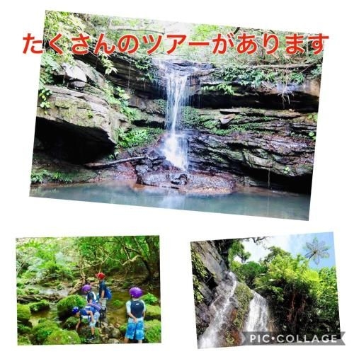 BRIDGE Iriomote Island4