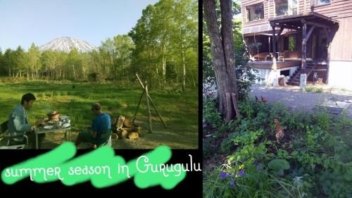 Niseko Gurugulu2