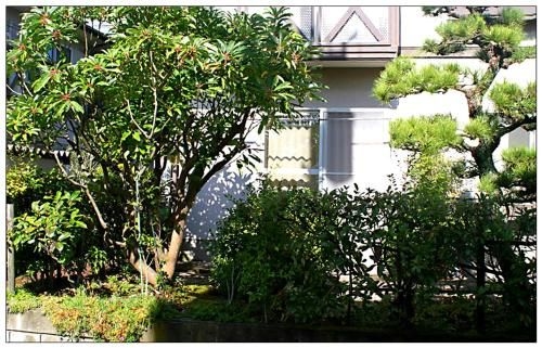 Casa Sanpond3