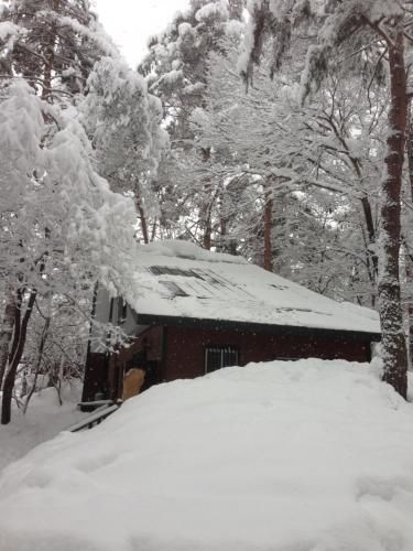 Shiro Cottage0