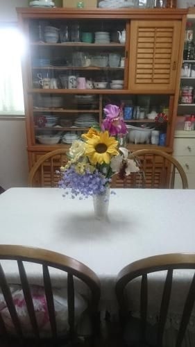 Miyuki House Hostel 14
