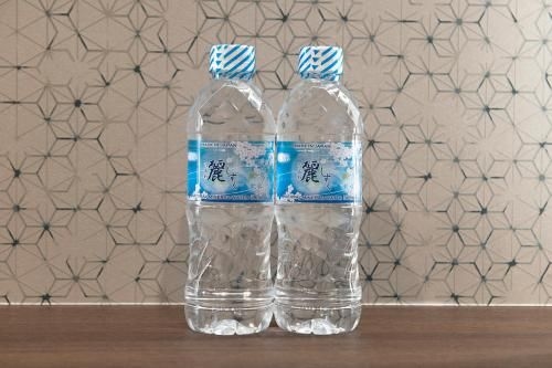 Stay SAKURA Tokyo Asakusa Yokozuna Hotel4