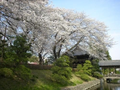 Hotel Wakasa1