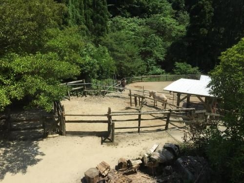 Dosanko Mira Farm (Farm Stay)1