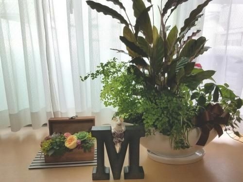 Villa M Guesthouse0