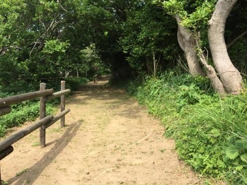 Tonosaki Bungalow & BBQ4