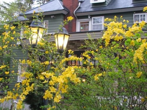 Hotel De Karuizawa Wald1