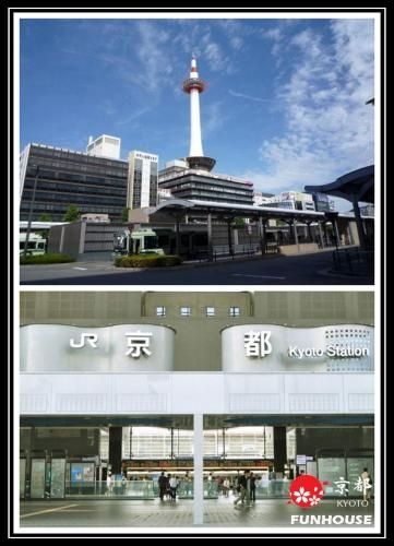 Funhouse 蘭 (Funhouse orchid)4