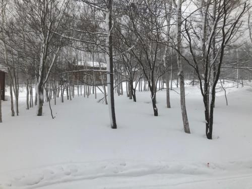 Iguru Ski Chalet3