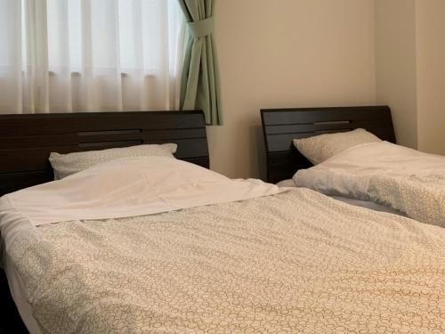 Hostel Inn Hashimoto (Hostel inn Hashimoto)0