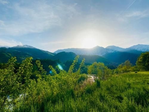 Takeda Chalets1