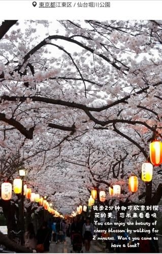 The Edo garden Hotel4