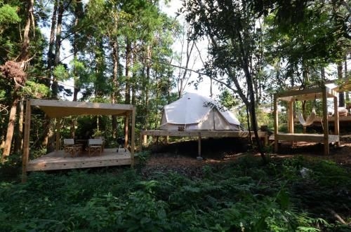Forest Living4