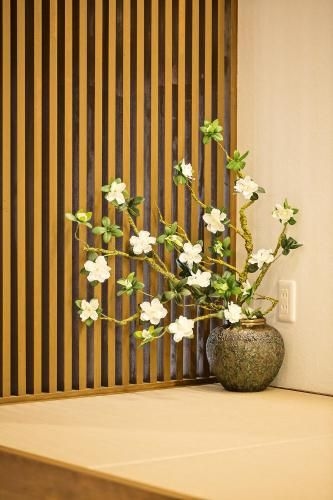 Zebrahouse Tenroku0