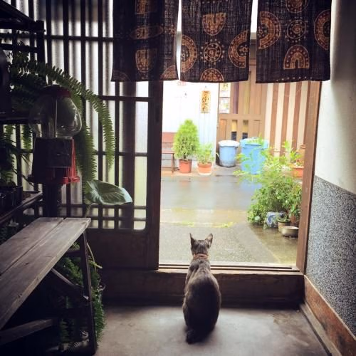 Buddha Guest House1