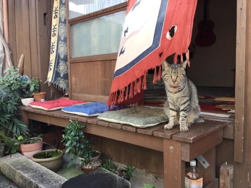 Buddha Guest House3
