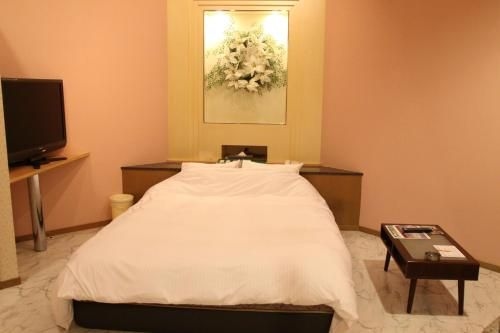 Color Hotel (Love Hotel)4
