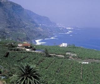 Roulette 3* Puerto de la Cruz0