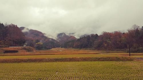 Asobi Lodge2