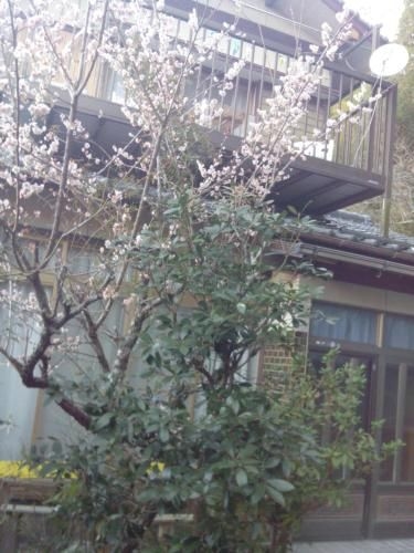 raibrasil guest house3