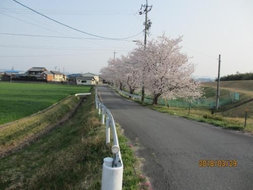 River Side Hotel aoi1