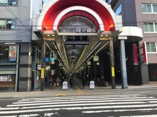 momo premium 303 (Momo Premium 303)2