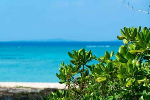 UMITO PLAGE The Atta Okinawa4