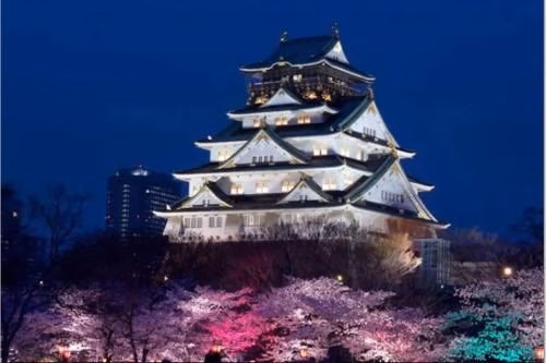 インペリアル船場1112 (Imperial Senba 1112)4