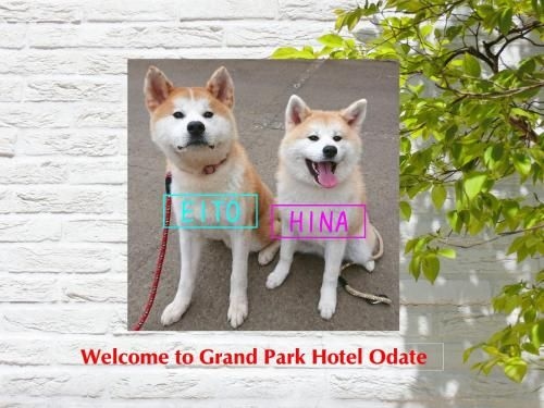 Grand Park Hotel Odate1