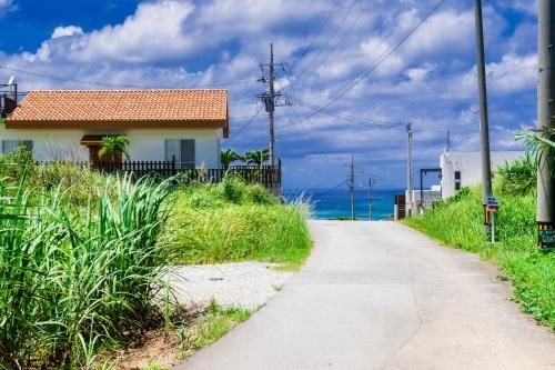 Villa SAFARI (Villa Safari)2