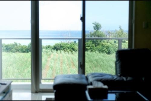 Ocean resort 2012
