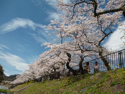 Guesthouse Hakone Nennekoya3