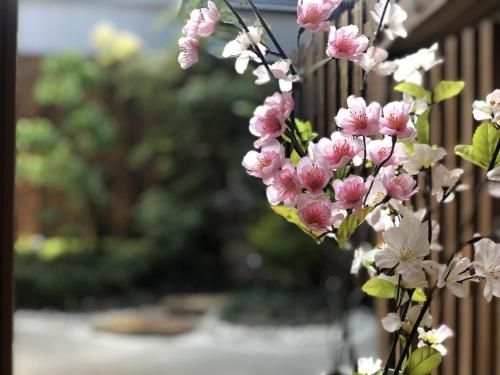 SAKURA Aburaya4