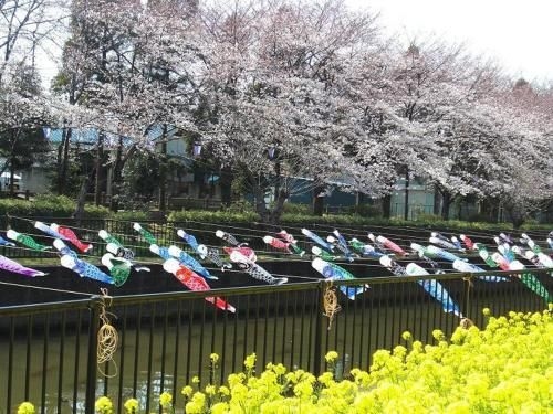 館林グランドホテル (Tatebayashi Grand Hotel)3