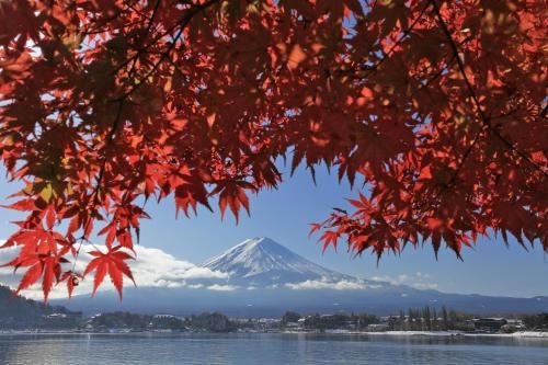 Erable Mt.Fuji "Zen" (Erable Mt.Fuji Zen)3