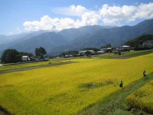 Pension Field2