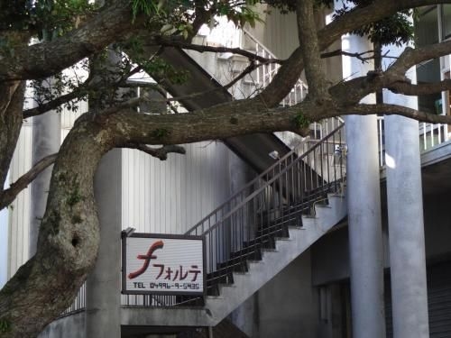 ฟอร์เต้ (Forte)2