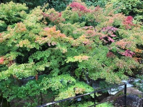 โชฮาคูเอง (Shohakuen)1